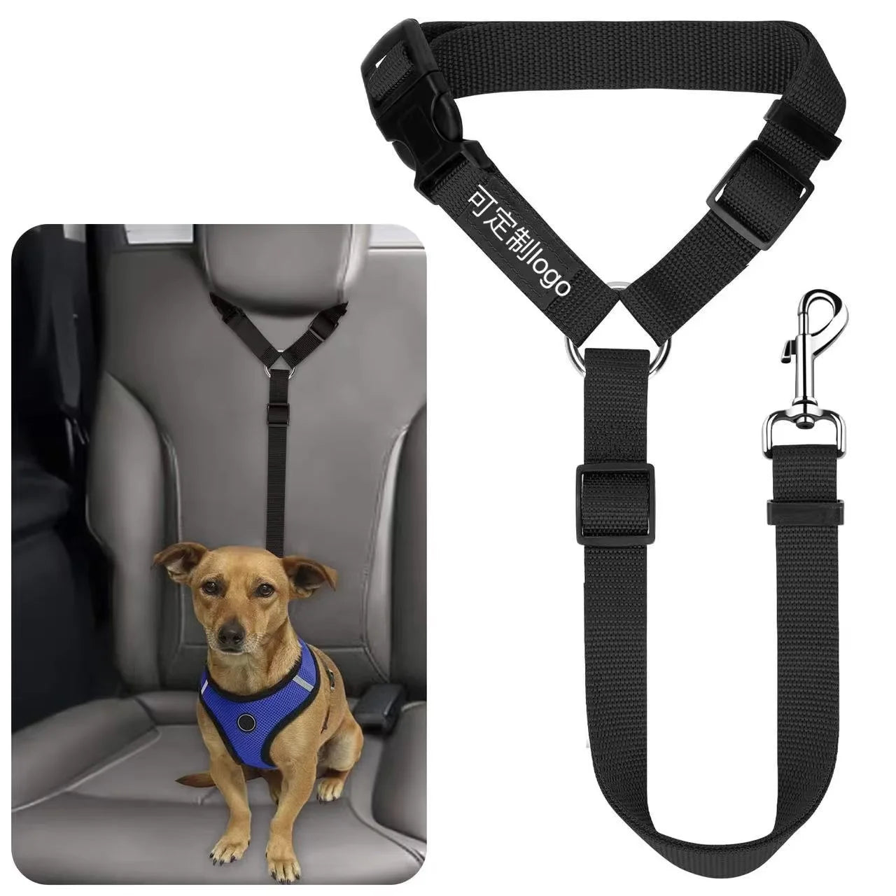 Safe Pet Travel