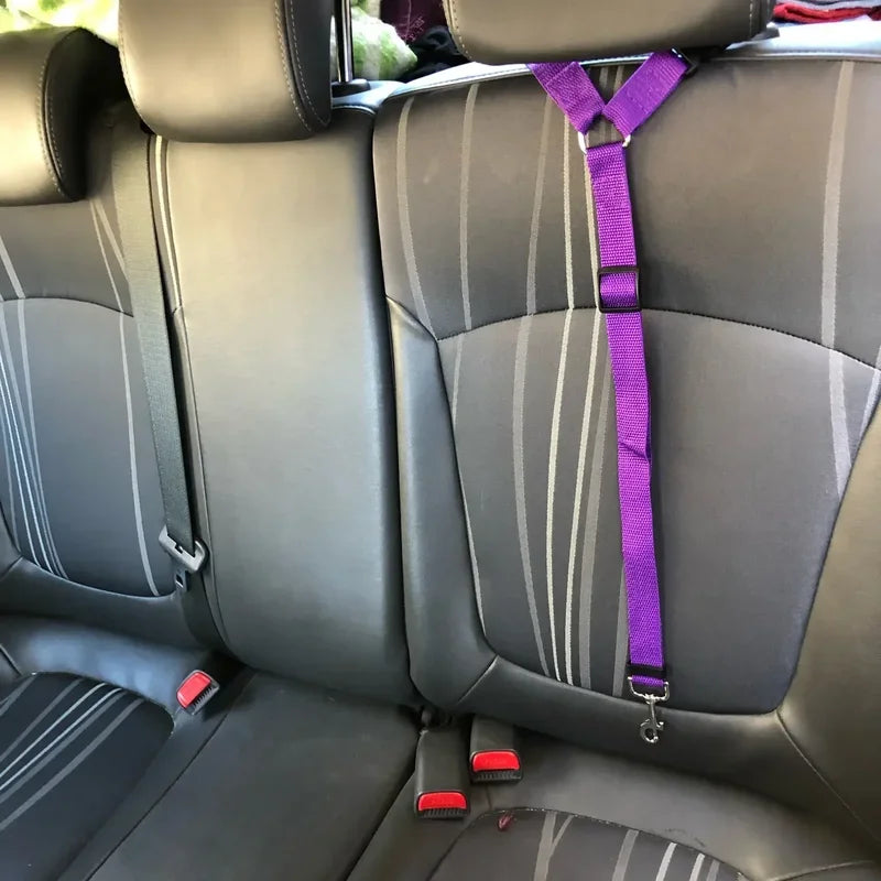Safe Pet Travel