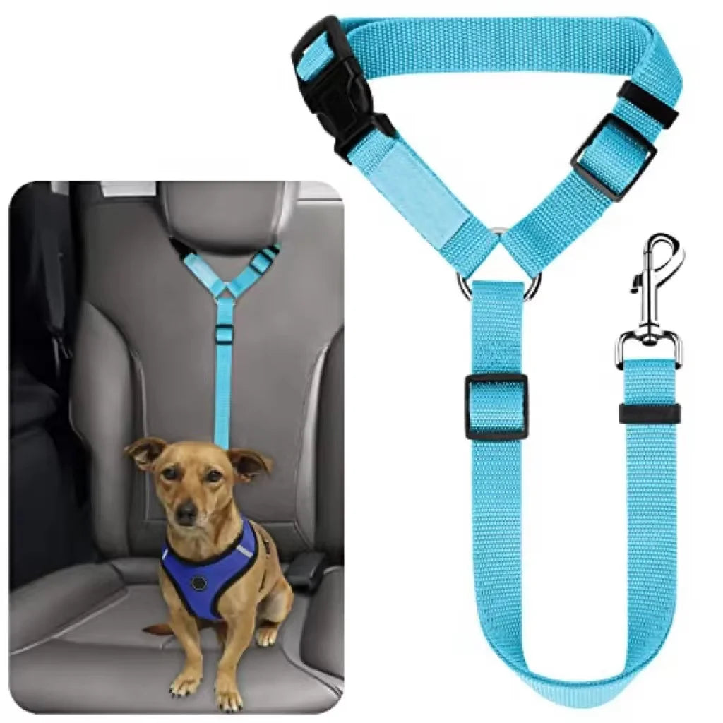 Safe Pet Travel