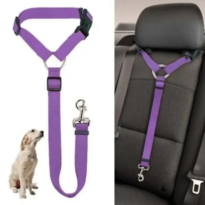 Safe Pet Travel