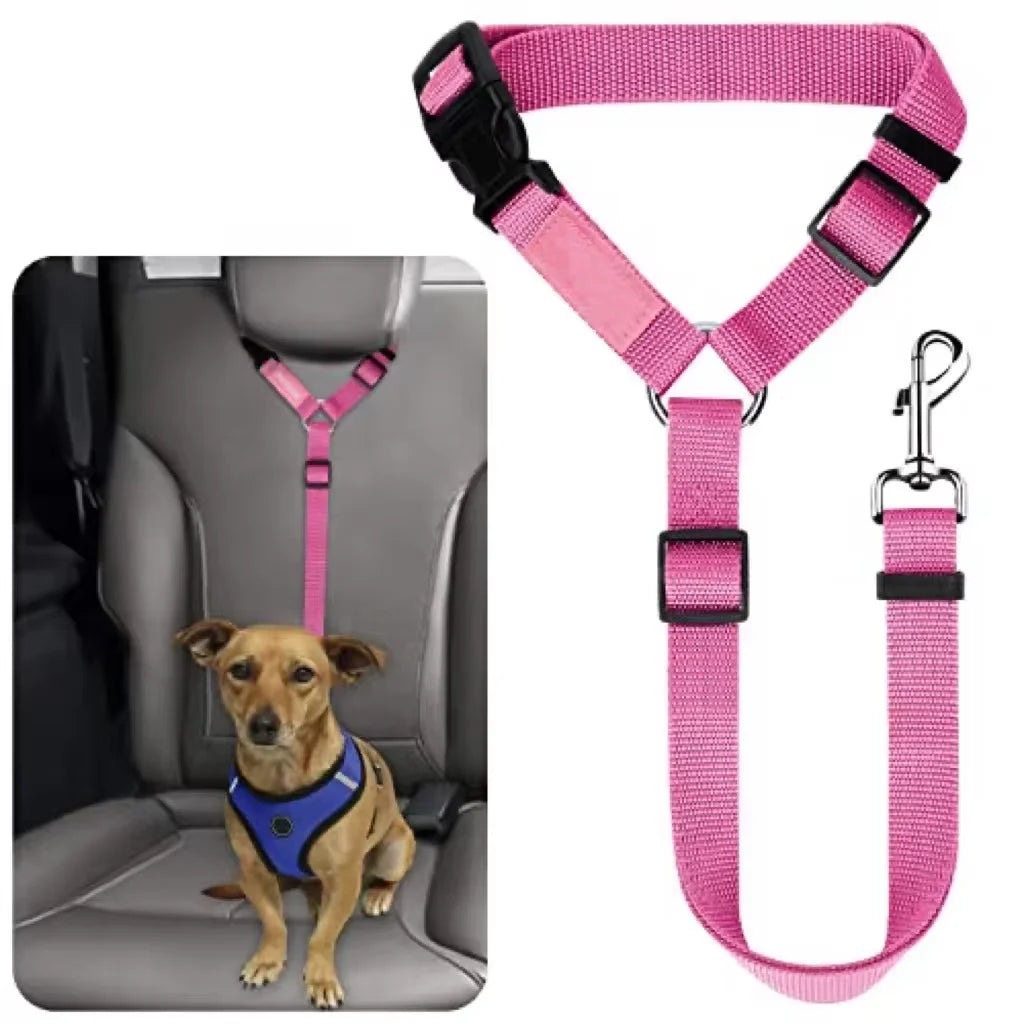 Safe Pet Travel