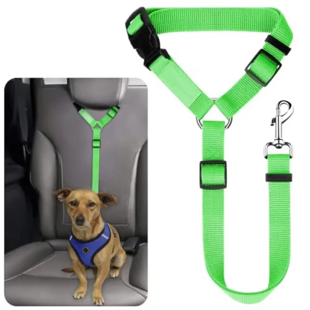 Safe Pet Travel