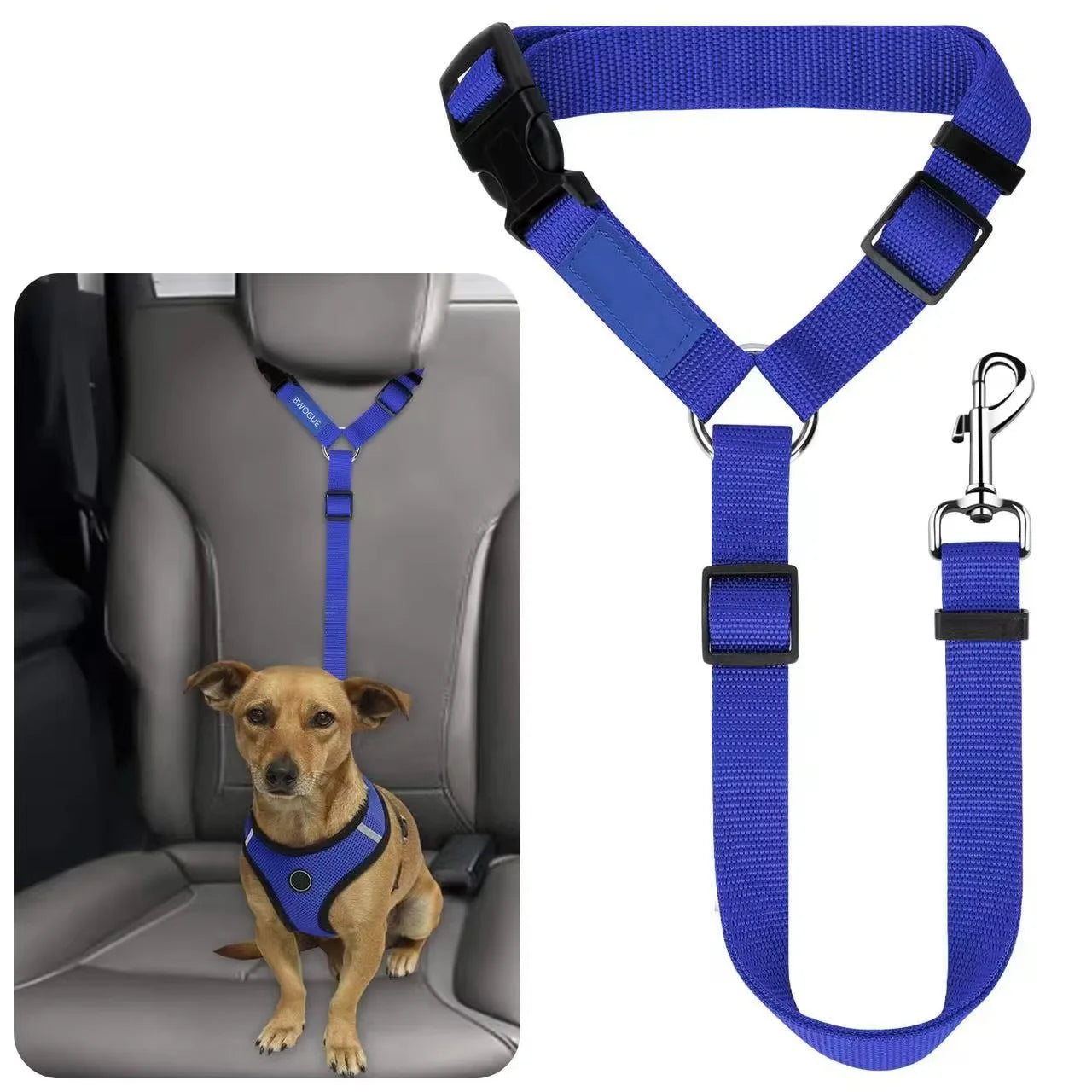 Safe Pet Travel