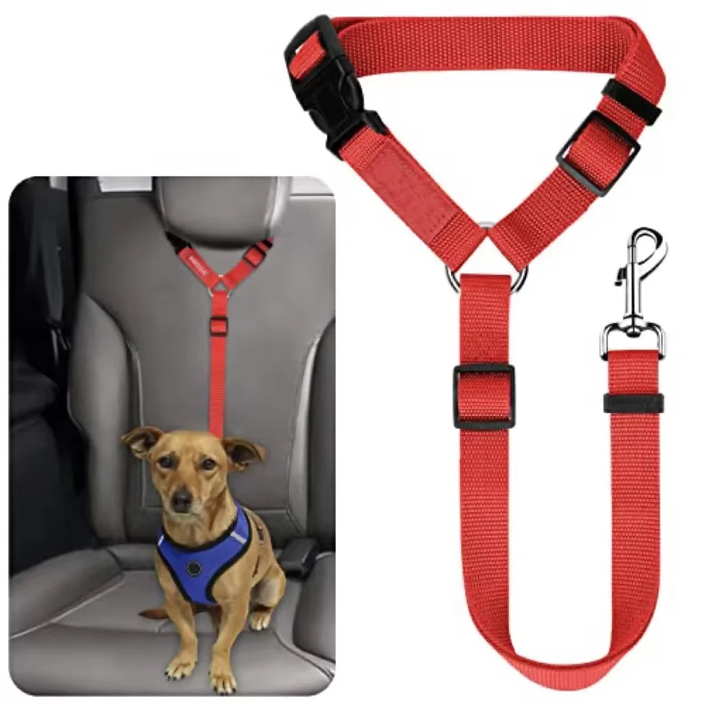 Safe Pet Travel