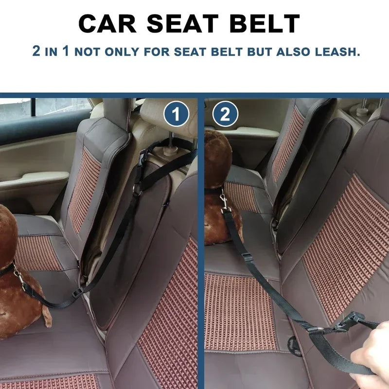 Safe Pet Travel