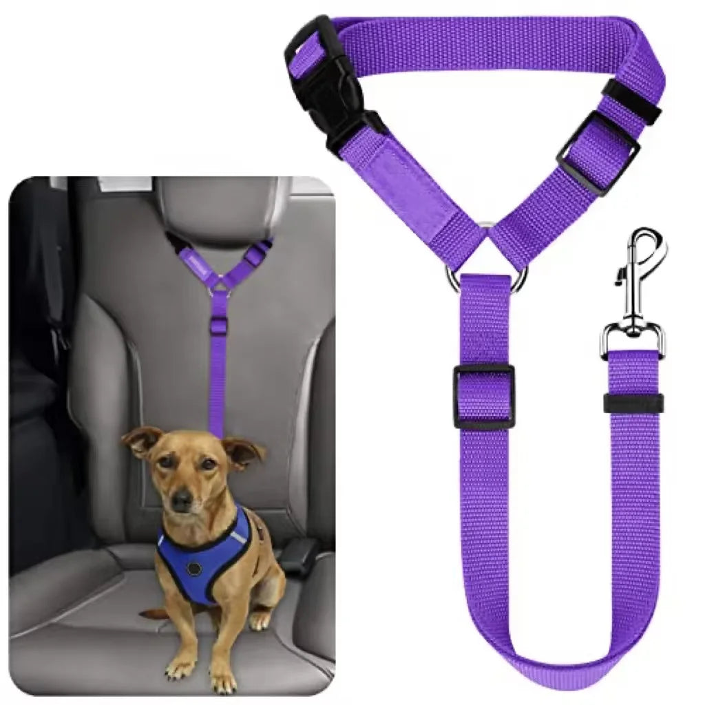 Safe Pet Travel